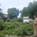 आंधी के झोंके में भरभराकर गिरा विशाल पेड़, घंटों थमा रहा खुरहट–रानीपुर मार्ग
