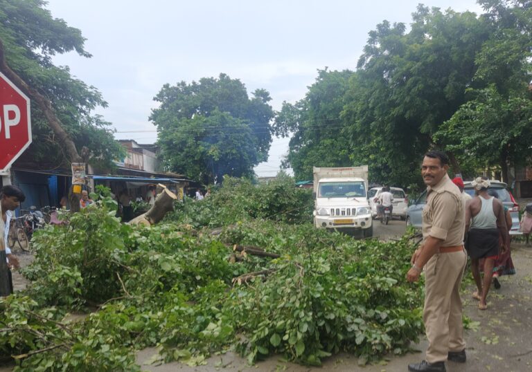आंधी के झोंके में भरभराकर गिरा विशाल पेड़, घंटों थमा रहा खुरहट–रानीपुर मार्ग