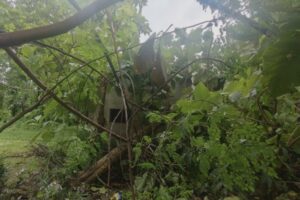 आंधी-पानी ने बिगाड़ा जनजीवन, बिजली गुल होने से गांवों में बढ़ी परेशानी