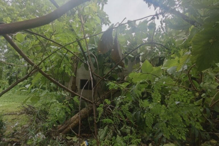 आंधी-पानी ने बिगाड़ा जनजीवन, बिजली गुल होने से गांवों में बढ़ी परेशानी
